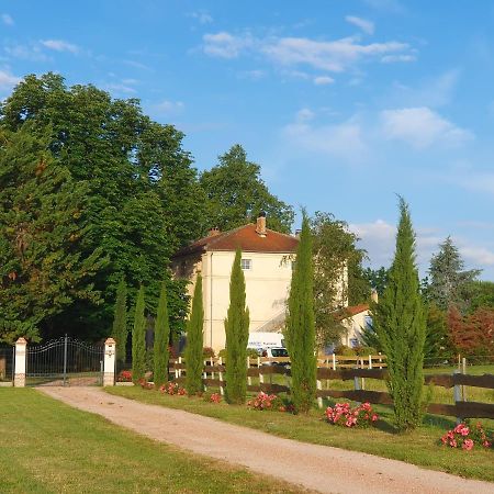 Lisle-sur-TarnDomaine Christanna住宿加早餐旅馆 外观 照片