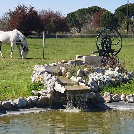 Lisle-sur-TarnDomaine Christanna住宿加早餐旅馆 外观 照片