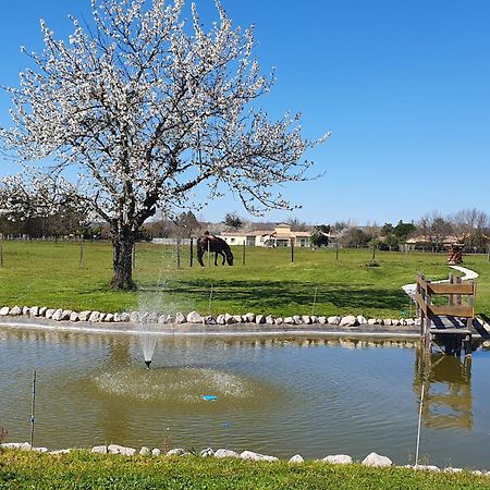 Lisle-sur-TarnDomaine Christanna住宿加早餐旅馆 外观 照片