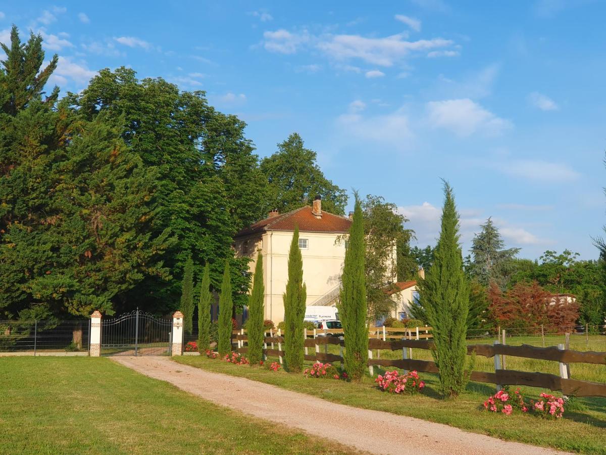 Lisle-sur-TarnDomaine Christanna住宿加早餐旅馆 外观 照片