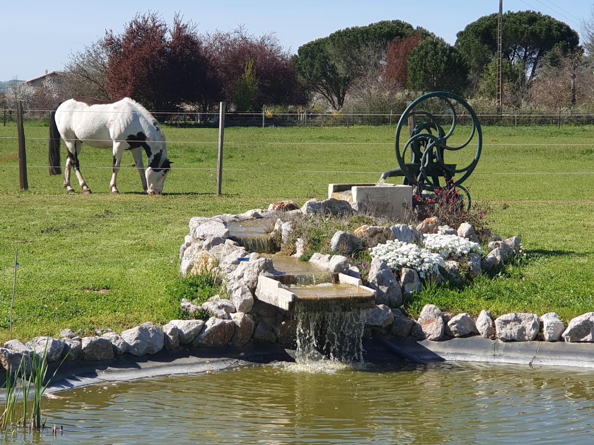 Lisle-sur-TarnDomaine Christanna住宿加早餐旅馆 外观 照片